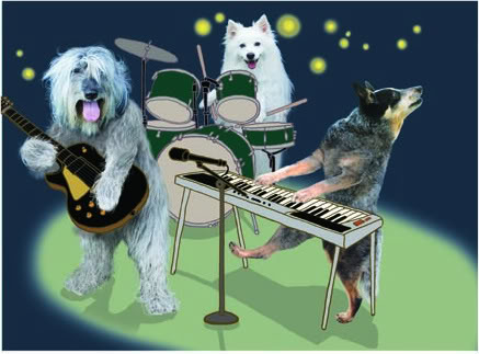 Band Breeds In Australia - General Dog Discussion - Dogz Online Forums